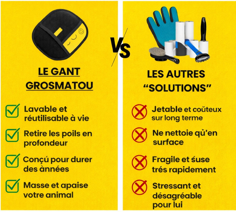 Gant Anti-Poils GloveGoneFur™