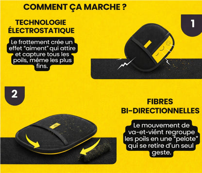 Gant Anti-Poils GloveGoneFur™