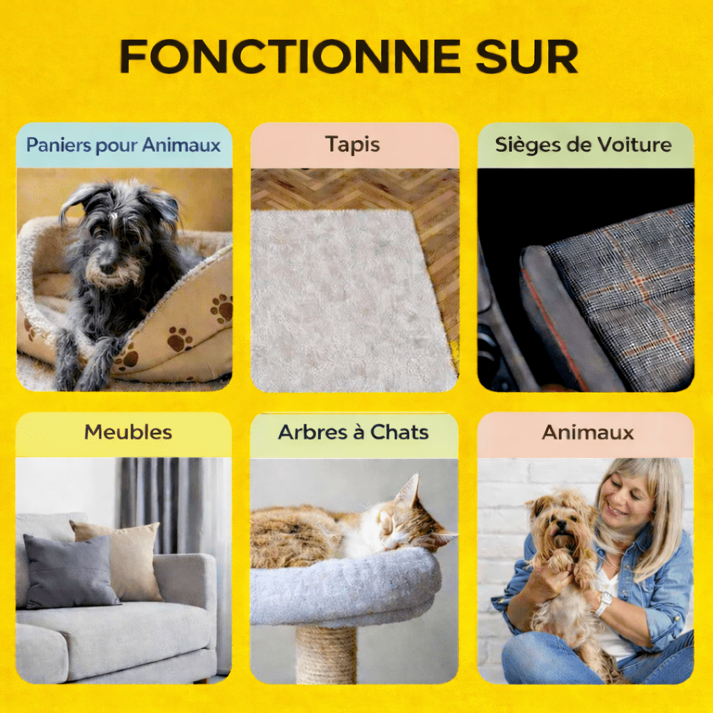 Gant Anti-Poils GloveGoneFur™