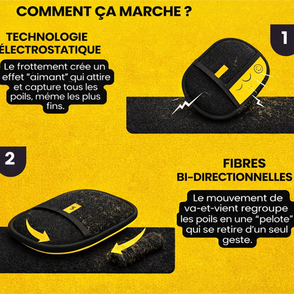 Gant Anti-Poils GloveGoneFur™